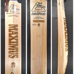 Aldred Maximus Butterfly Bat #1