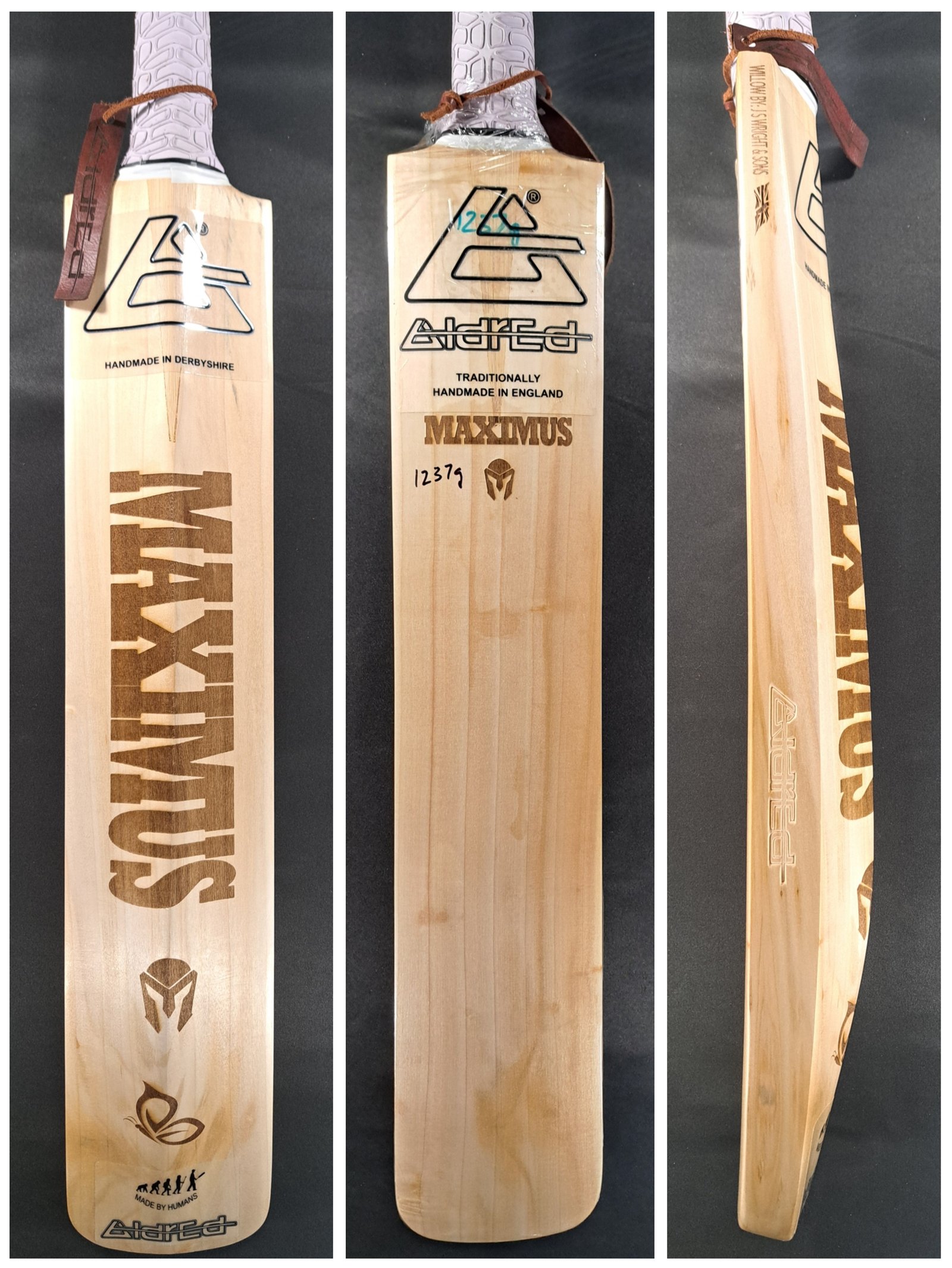 Aldred Maximus Butterfly Bat #1