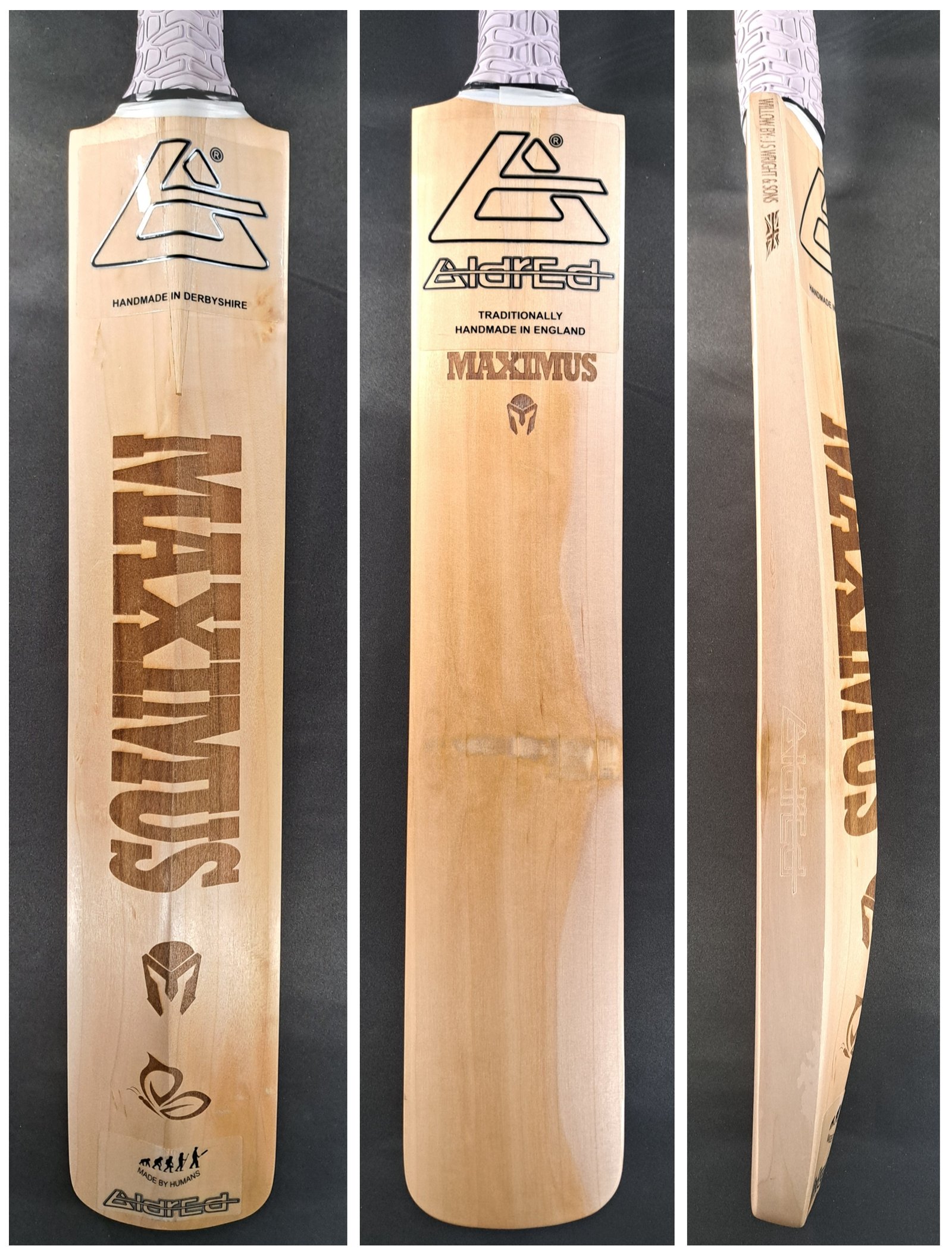 Aldred Maximus Butterfly Bat #2