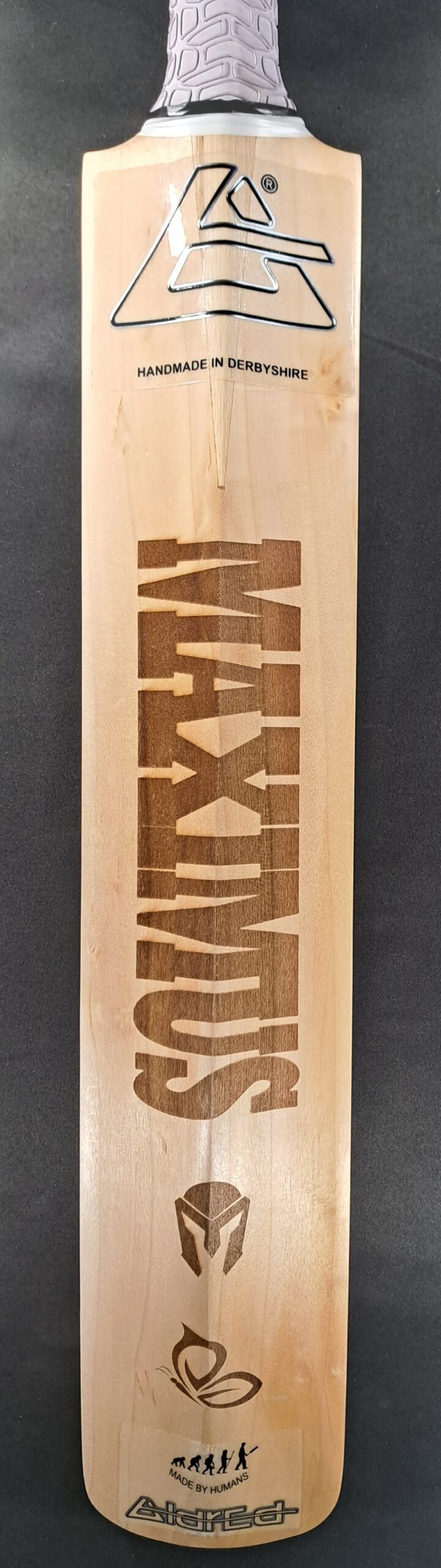 Aldred Maximus Butterfly Bat #2