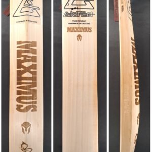 Aldred Maximus Emperor Butterfly Bat #1