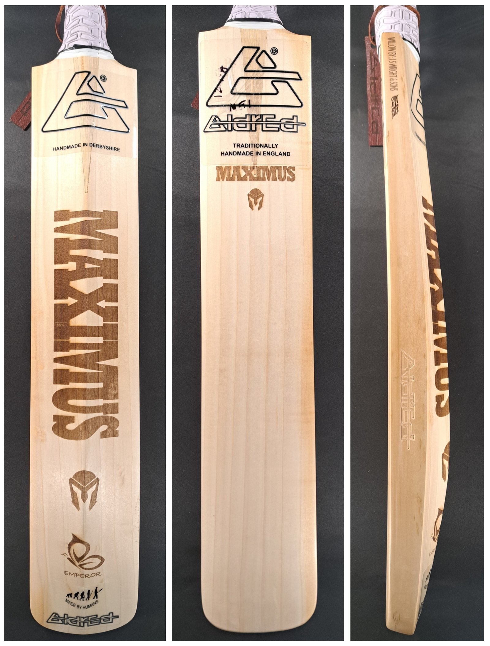 Aldred Maximus Emperor Butterfly Bat #1