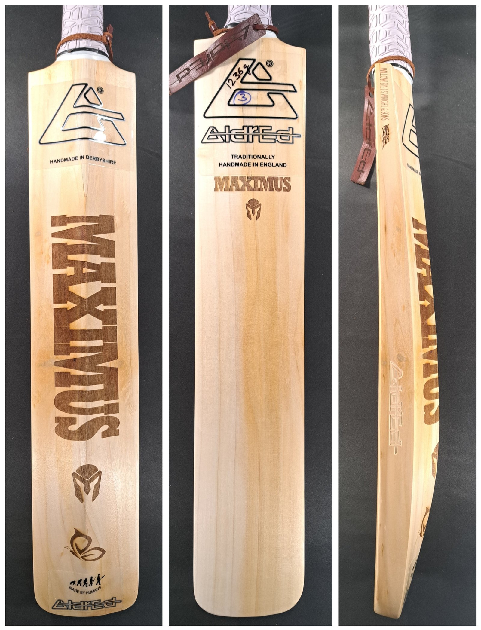 Aldred Maximus Butterfly Bat #3