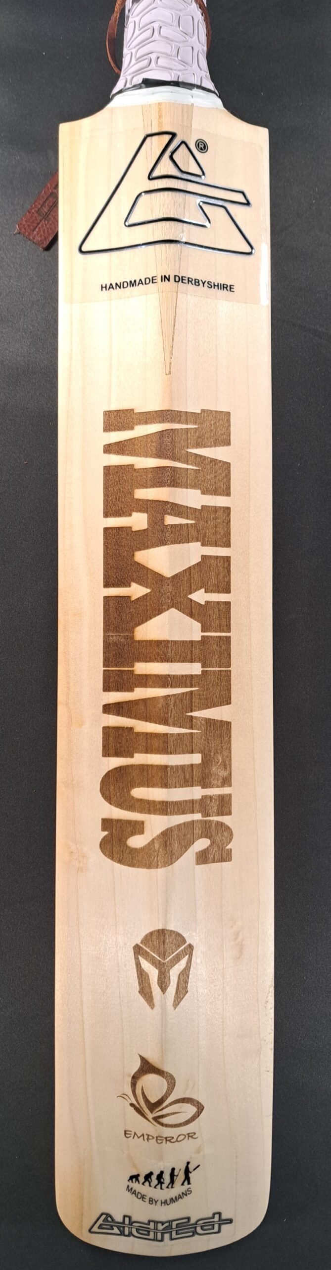 Aldred Maximus Emperor Butterfly Bat #1