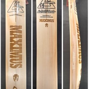 Aldred Maximus Emperor Butterfly Bat #2
