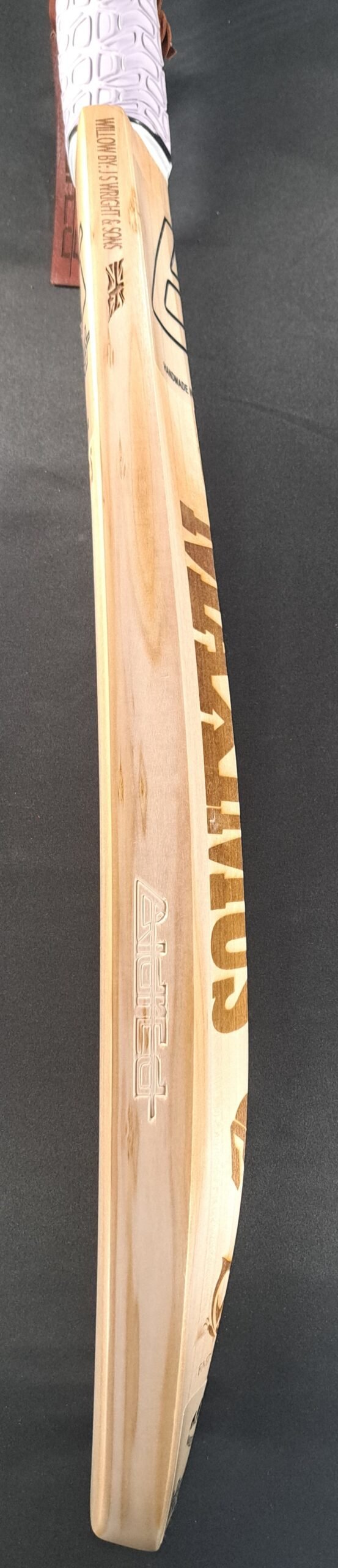 Aldred Maximus Emperor Butterfly Bat #2