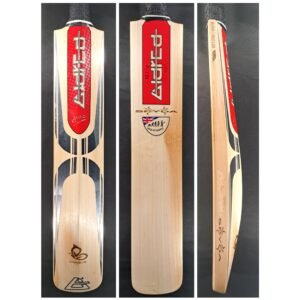 Aldred Spyda Emperor Butterfly Bat #1