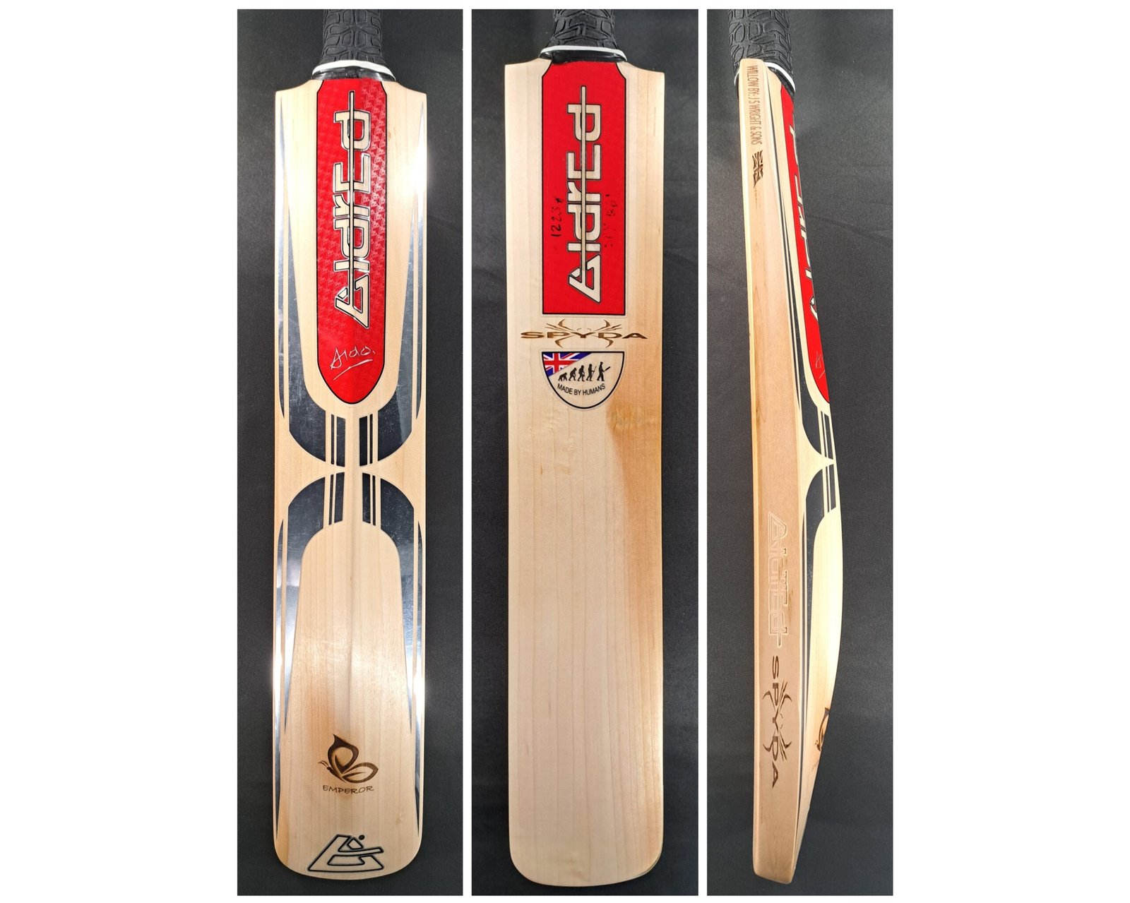 Aldred Spyda Emperor Butterfly Bat #1