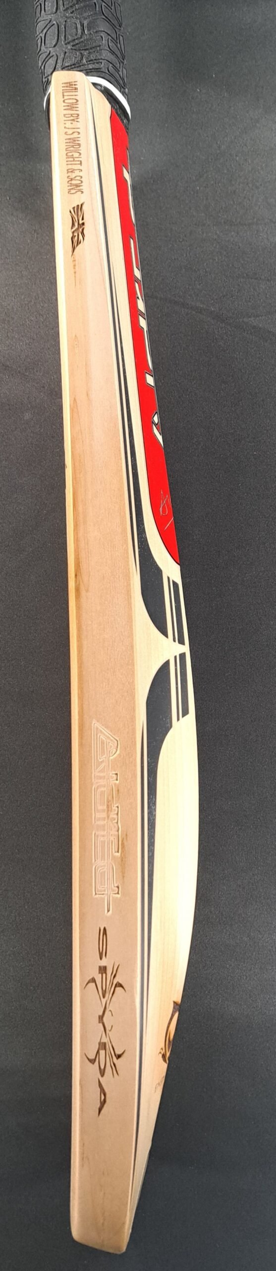 Aldred Spyda Emperor Butterfly Bat #1