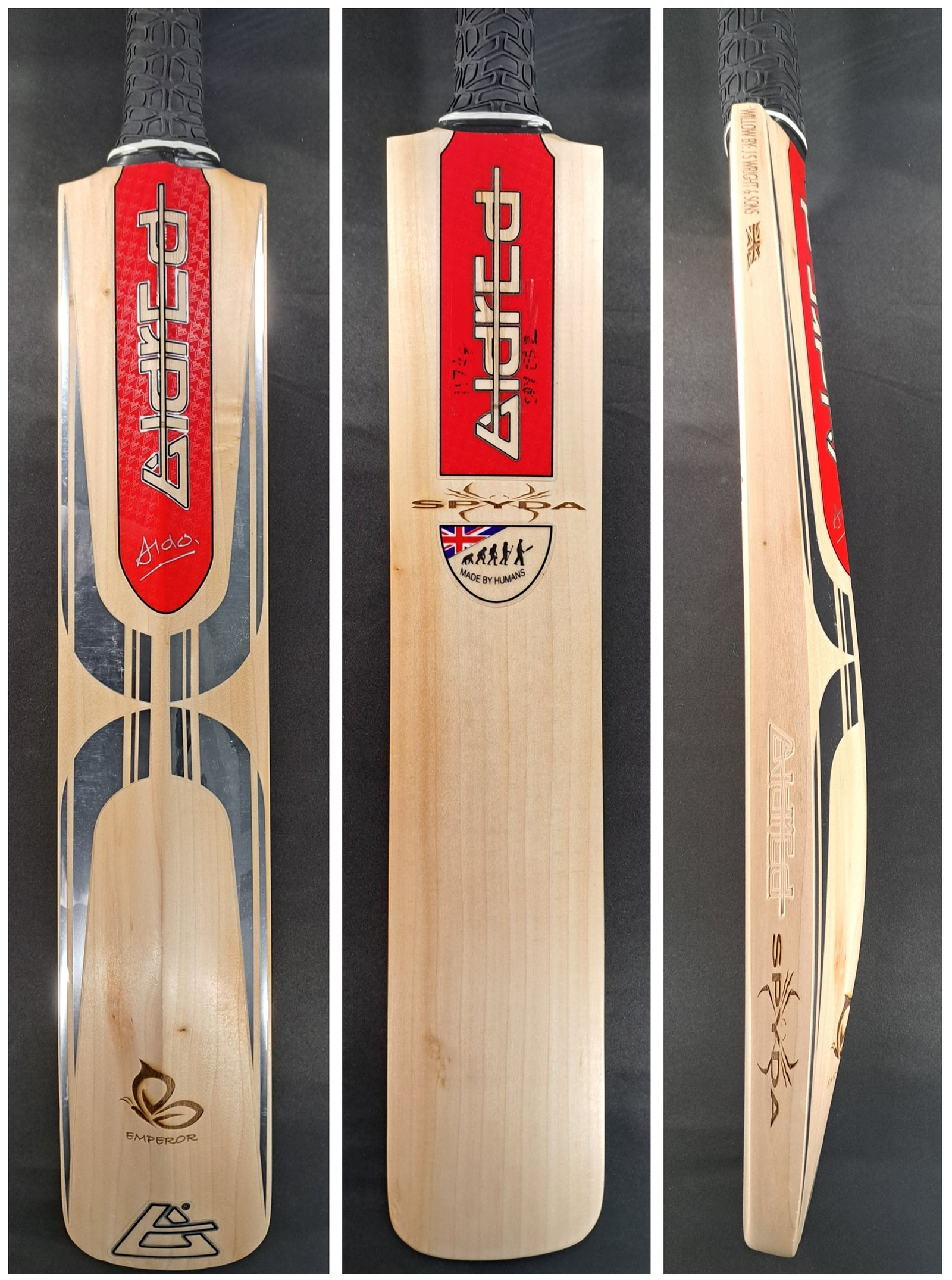 Aldred Spyda Emperor Butterfly Bat #2