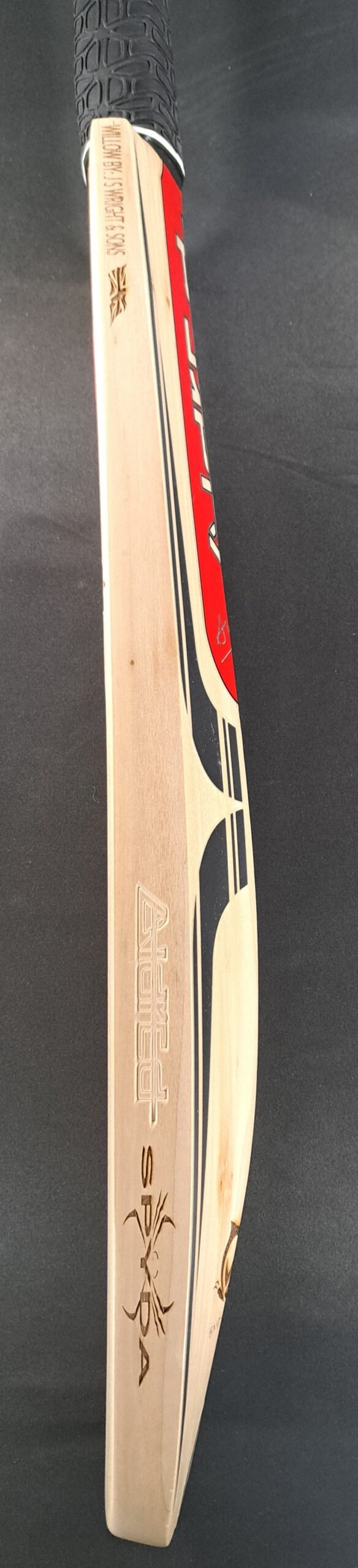 Aldred Spyda Emperor Butterfly Bat #2