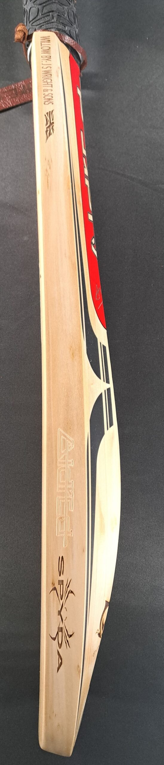 Aldred Spyda Emperor Butterfly Bat #3